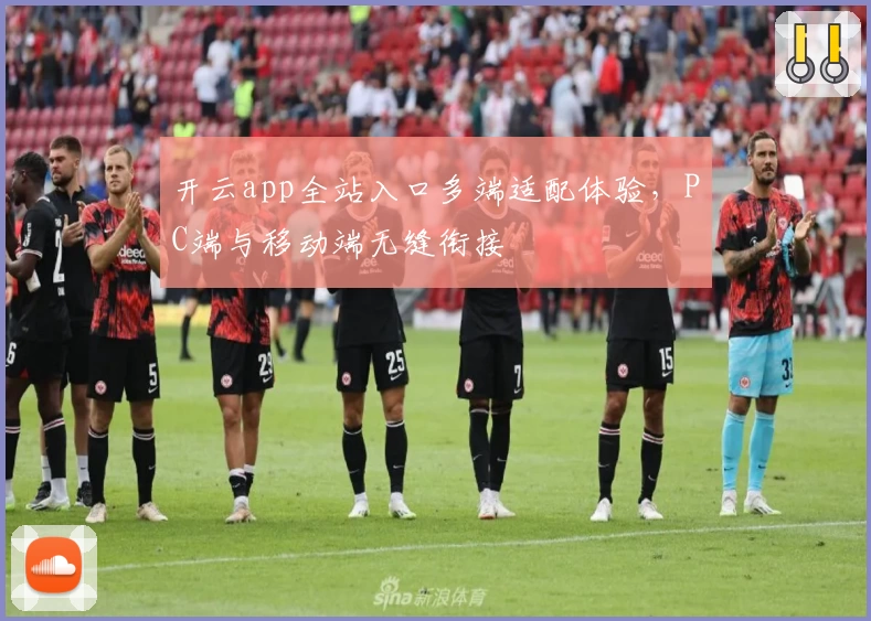 开云app全站入口多端适配体验，PC端与移动端无缝衔接