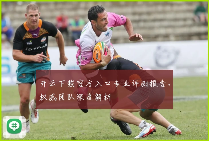 开云下载官方入口专业评测报告，权威团队深度解析