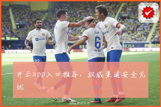 开云app入口推荐，权威渠道安全无忧