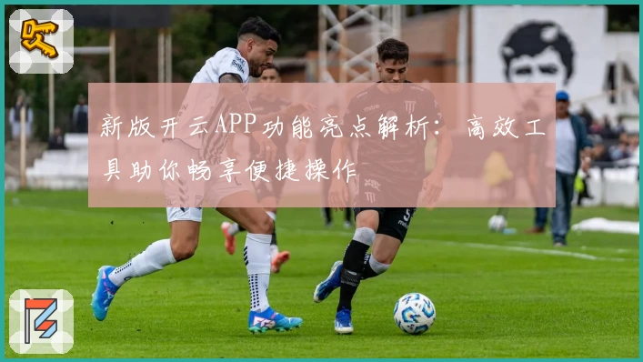 新版开云APP功能亮点解析：高效工具助你畅享便捷操作