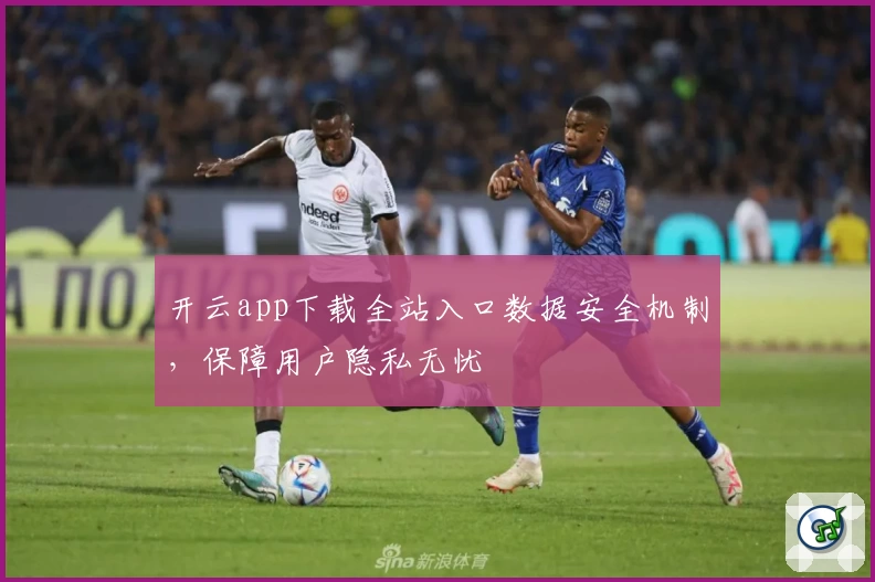 开云app下载全站入口数据安全机制，保障用户隐私无忧