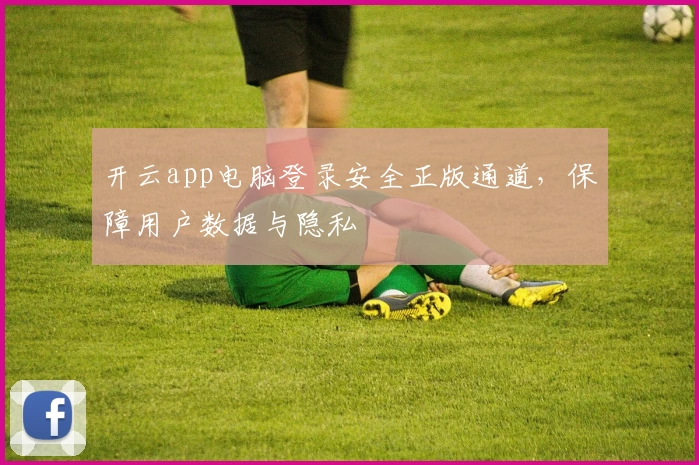 开云app电脑登录安全正版通道，保障用户数据与隐私