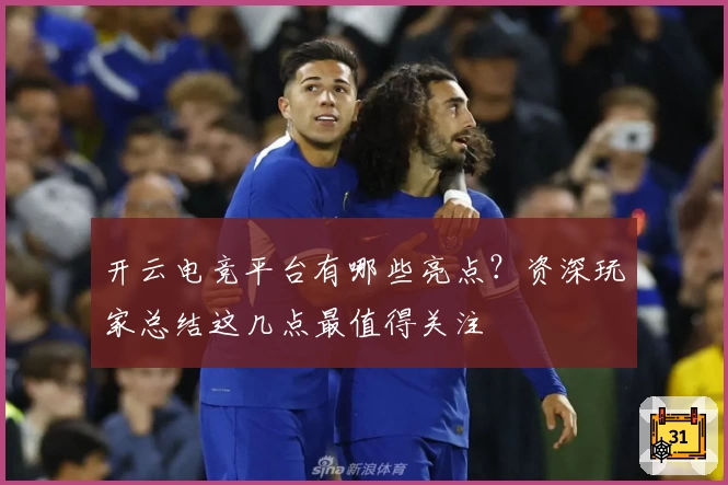 开云电竞平台有哪些亮点？资深玩家总结这几点最值得关注
