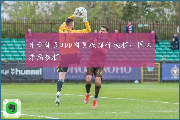开云体育app网页版操作流程，图文并茂教程
